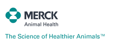 Merck Logo