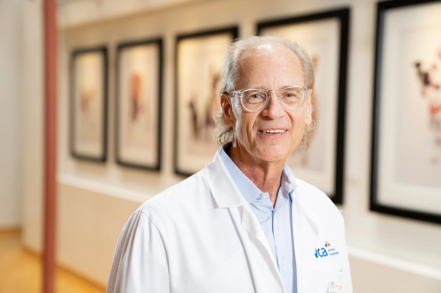 Todd Tams, DVM, DACVIM (SAIM)