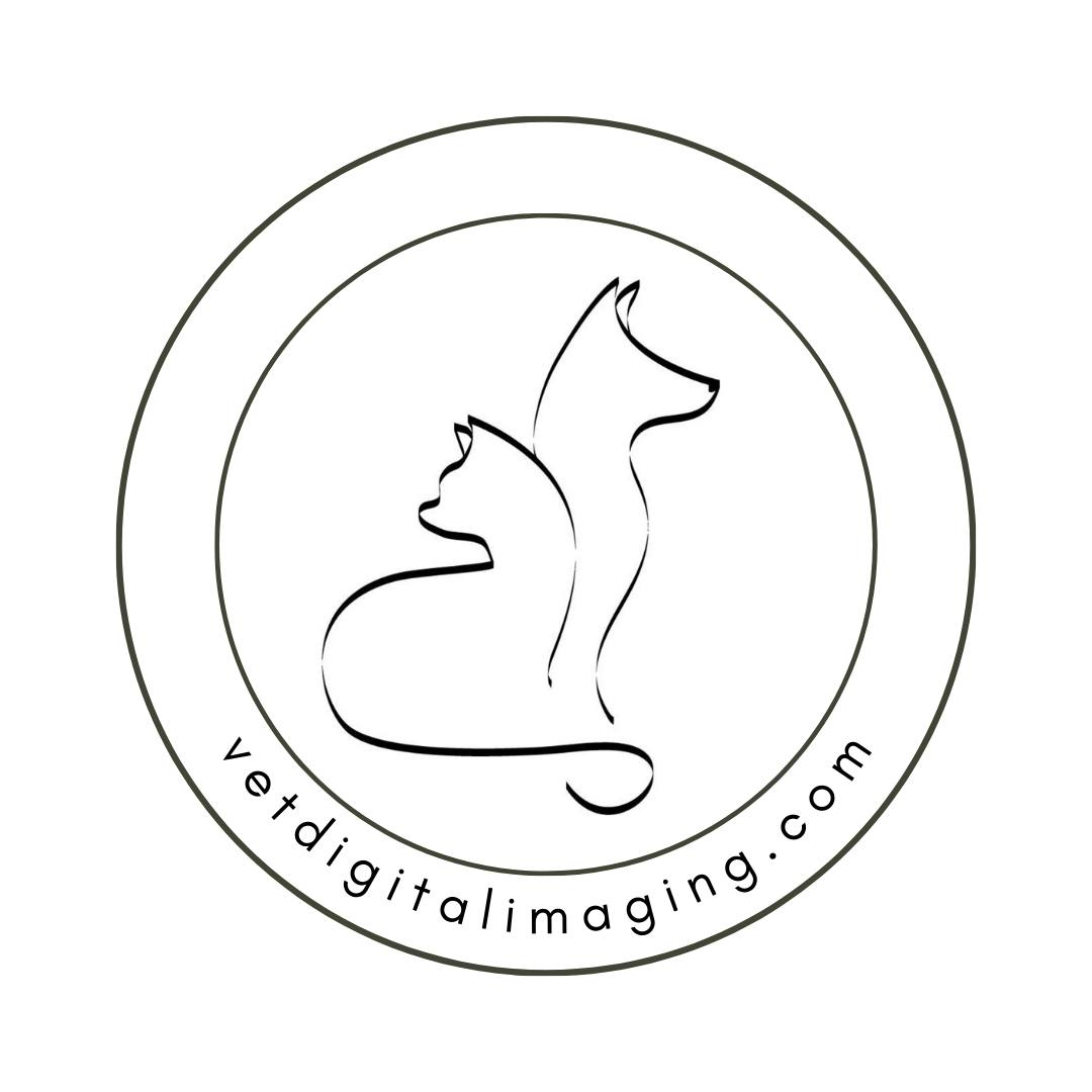 VDI&D Logo